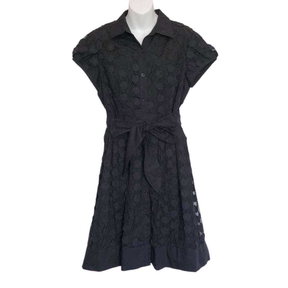 Adrianna Papell Lace Overlay Belted Dress